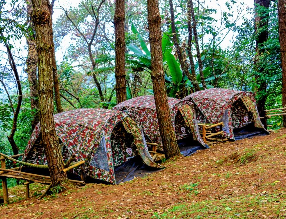 Le camping, un investissement immobilier pas comme les autres